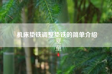 機(jī)床墊鐵調(diào)整墊鐵的簡單介紹