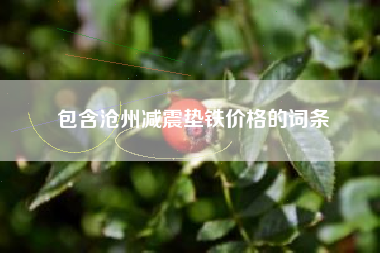 包含滄州減震墊鐵價格的詞條